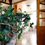 Hotel Nirikos 2*