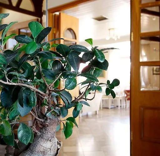 Hotell Nirikos 2*